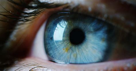 Woman Accidentally Prescribed Erectile Dysfunction Cream For Eye Condition Cbs Detroit
