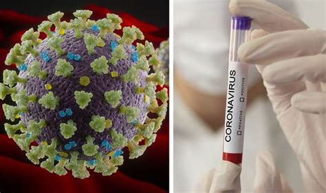 Coronavirus Cure Scientists Isolate Covid 19 Virus Genome Will