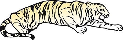Whiskers Cat Golden Tiger Bear Bengal Tiger Tiger Pouncing Coloring