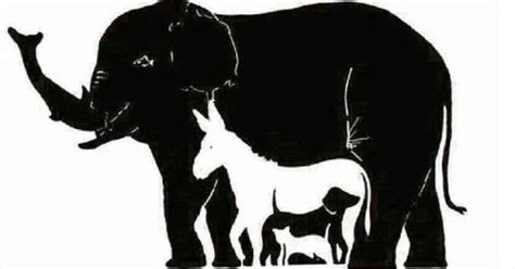 Optical Illusion How Many Animals Can You See