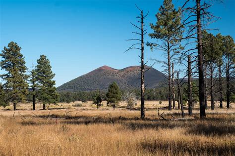 Flagstaff Tourist Attractions Grand Canyon Deals