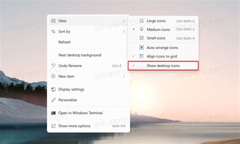 How To Hide The Recycle Bin Icon In Windows 11
