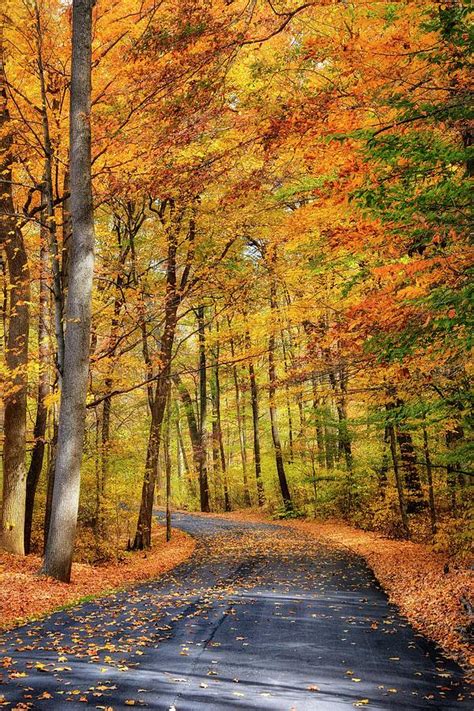 Road To Fall Photograph By Brian Hollars Fine Art America