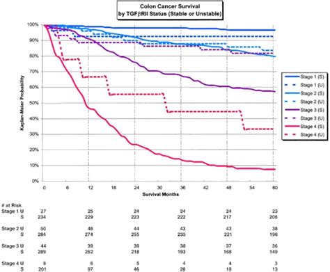 Stage 4 Colon Cancer Life Expectancy Chart