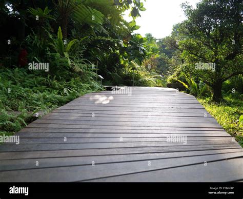 The Wooden Walk Path In Park Stock Photo Alamy