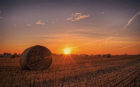 Wallpaper Hay Field Sunset 1920x1200 Hd Picture Image