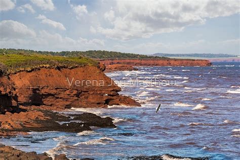 Red Sandstone Cliffs In The Pei National Park Along The North Shore Of Prince Edward Island