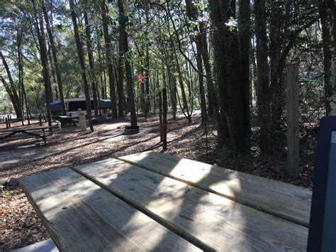 Enjoyed camping at suwannee river state park near live oak , florida. Campground Review: Suwannee River State Park, Live Oak ...