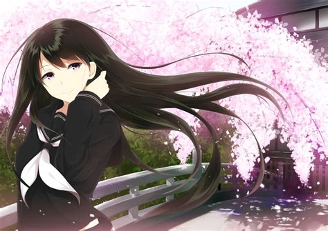 Animetta Black Hair Cherry Blossoms Flowers Long Hair Original Pink