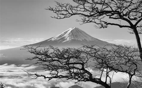 The japanese are one of the 8 tribes featured in black & white , appearing in lands 3 , 4 , 5 , and creature isle. oa85-japan-fuji-maountain-bw-nature-wallpaper