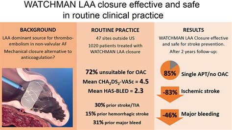 Evaluating Real World Clinical Outcomes In Atrial Fibrillation Patients
