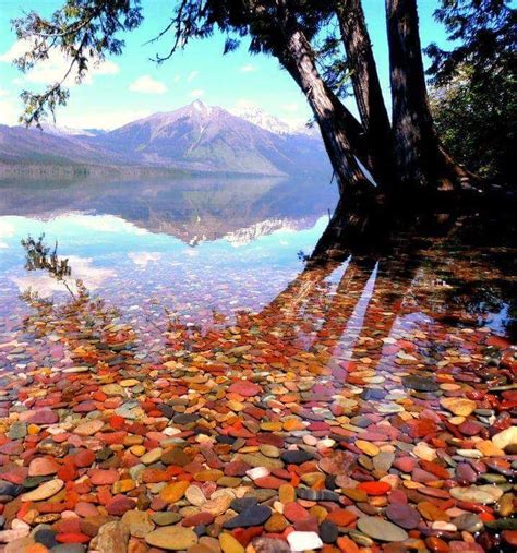 Glacier National Park In Montana Pebble Shore Lake Places To Travel
