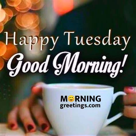Good Morning Tuesday Wallpapers 2022 New Pictures Images And Photos