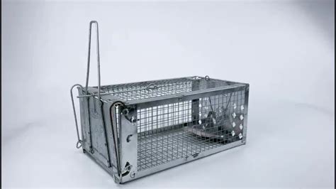 Humane Live Multi Catch Wire Mesh Metal Mouse Rat Cage Animal Trap Cage