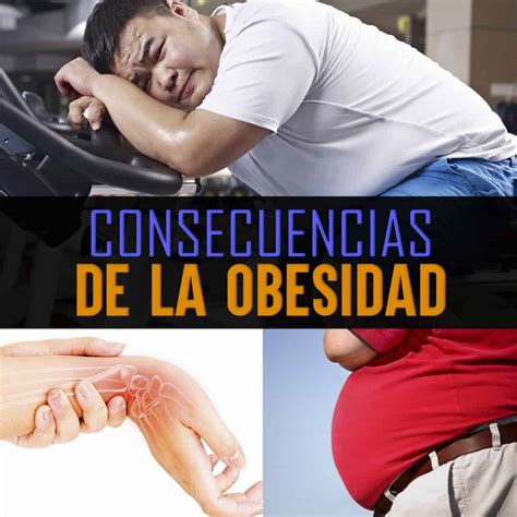 Las 12 Principales Consecuencias De La Obesidad Que Todos Deben Conocer