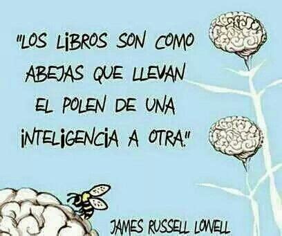 Sin Como Abejas Frases Dia Del Libro Frases De Lectura Frases Sobre