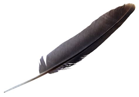 Feather Png Image Purepng Free Transparent Cc0 Png Image Library