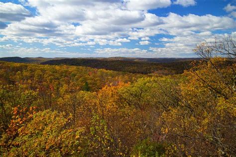 The Breathtaking New Jersey Hike That Glows Gold Once A Year Day