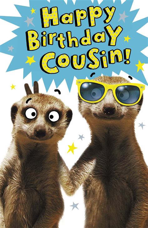 Happy Birthday Cousin Cool Meerkats Funny Greeting Card Cards