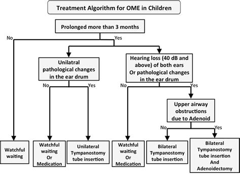 Clinical Practice Guidelines For The Diagnosis And Management Of Otitis Media With Effusion Ome