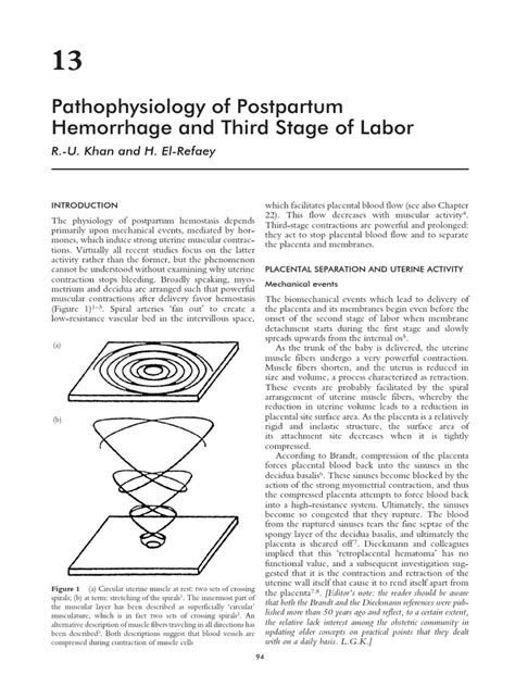 Pathophysiology Of Postpartum Hemorrhage And Third Stage Of Labor