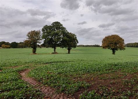 Farmland Near Park End © Mat Fascione Cc By Sa 2 0 Geograph Britain And Ireland