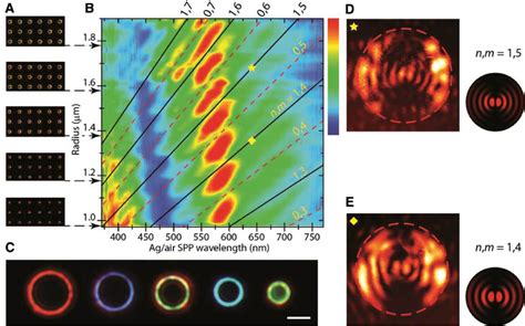Optical And Electrical Mappings Of Surface Plasmon Cavity Modes