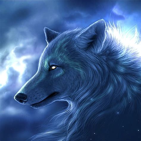 We did not find results for: 10 New Cool Wolf Desktop Backgrounds FULL HD 1080p For PC ...