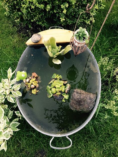 Mini garten auf balkon und terrasse 27 einzigartig mini garten selber machen. Mini Gartenteich | Garten, Gartenteich, Miniteich