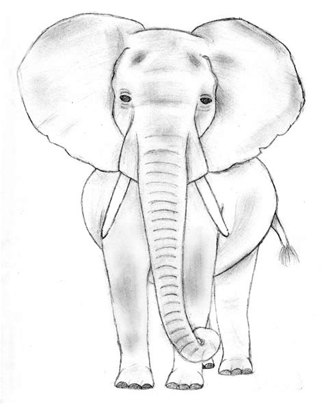 Easy Drawing Of Elephant At Getdrawings Free Download