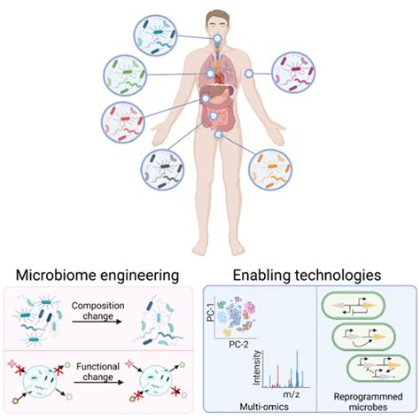 Microbiome And Human Health Current Understanding Engineering And