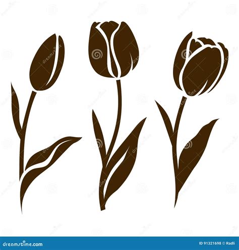 Set Of Tulip Silhouette Vector Illustration Collection Of Decorative