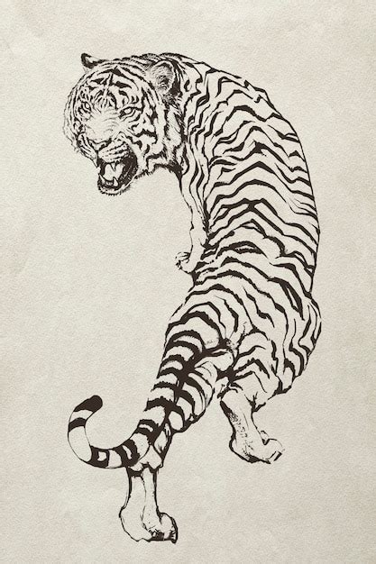 Premium Photo Hand Drawn Roaring Tiger Illustration