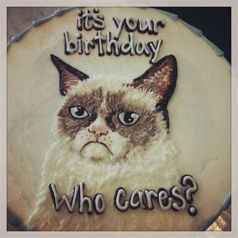 Grumpy Cat Cakes Caterville