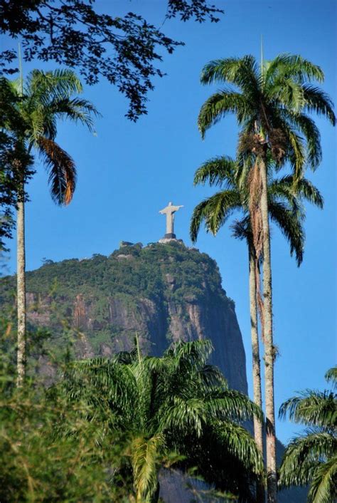 Rio De Janeiro Brazil Brazil Culture Brazil Travel Travel Aesthetic