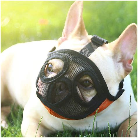 Key features of this dog muzzle. Twitter | Bulldog, French bulldog, Dog mask