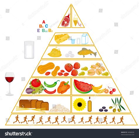 Food Pyramid Vector Stock Vector Royalty Free 58968040 Shutterstock