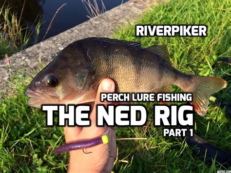 Perch Lure Fishing Ned Rig Part 1video 150 Youtube