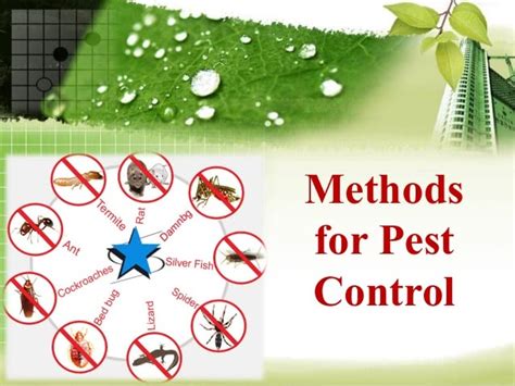 In general the orientation of the control project is towards the crop plant population rather than individual plants, so. What are the Different Methods of Pest Control | Falls ...