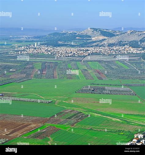 Jezreel Valley In Israel Stock Photo Alamy