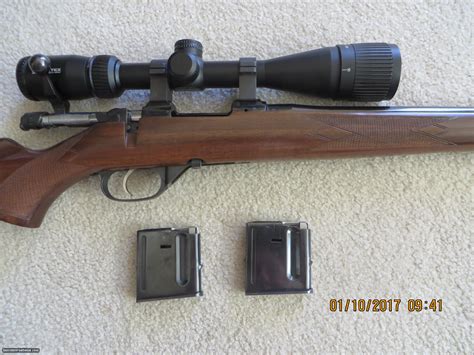 Cz 527 American 223 Remington