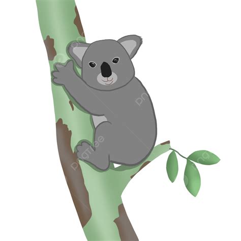 Elementos De Dibujos Animados De Koala Png Eses Oso De árbol