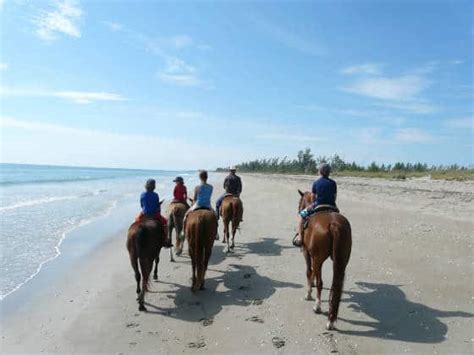 Beach Horseback Riding In Florida Where To Go Florida Rambler