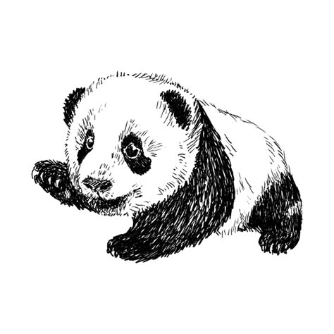 Baby Panda Print Panda T Shirt Teepublic