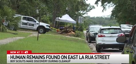 Florida Boy Scouts Discover Human Remains During Cleanup Of City