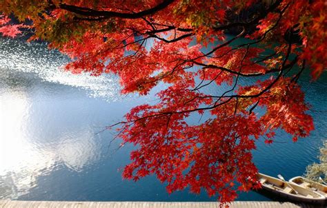 Japan Autumn Wallpapers On Wallpaperdog
