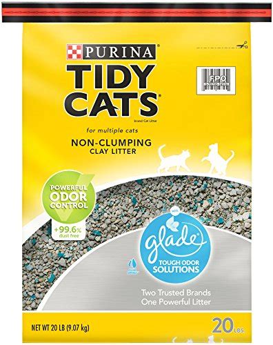 Tidy Cats Glade Tough Odor Solutions Non Clumping Cat Litter Review