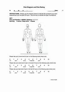 33 Body Charts Free To Download In Pdf