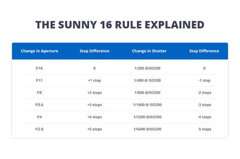 A Beginner Photographers Guide To Understanding The Sunny 16 Rule