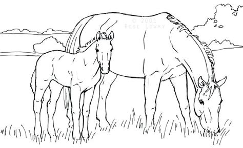 Horse And Foal Coloring Pages At Free Printable